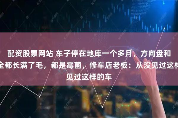 配资股票网站 车子停在地库一个多月，方向盘和座椅全都长满了毛，都是霉菌，修车店老板：从没见过这样的车