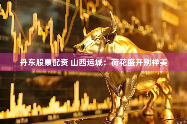 丹东股票配资 山西运城：荷花盛开别样美